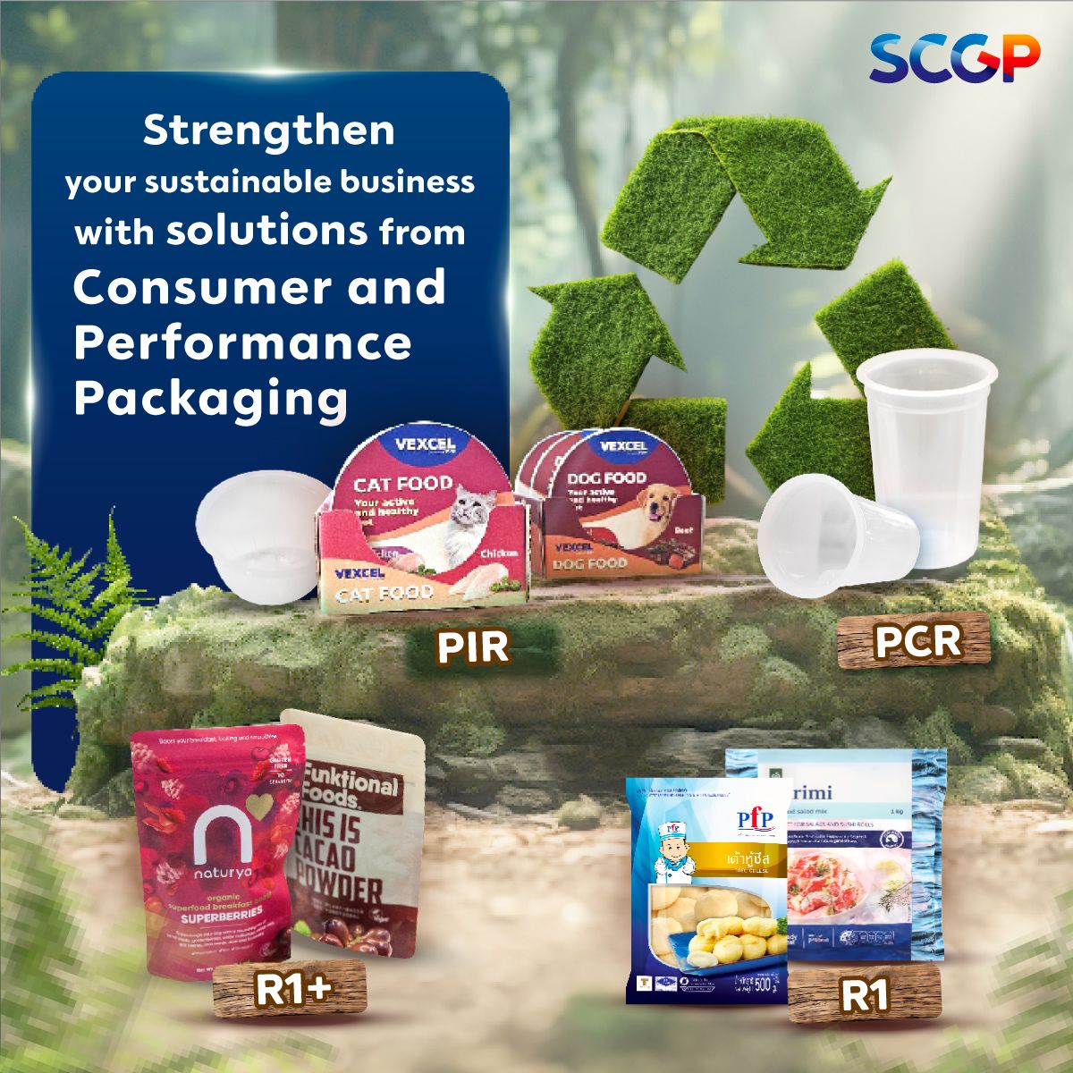 Strengthen your business with sustainable solutions from Consumer and Performance Packaging