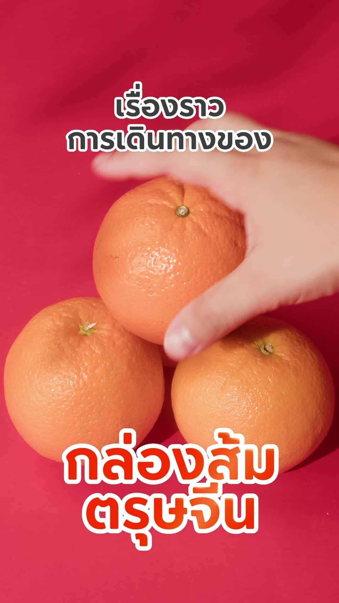 Wealthy Orange Box กล่องส้มตรุษจีน