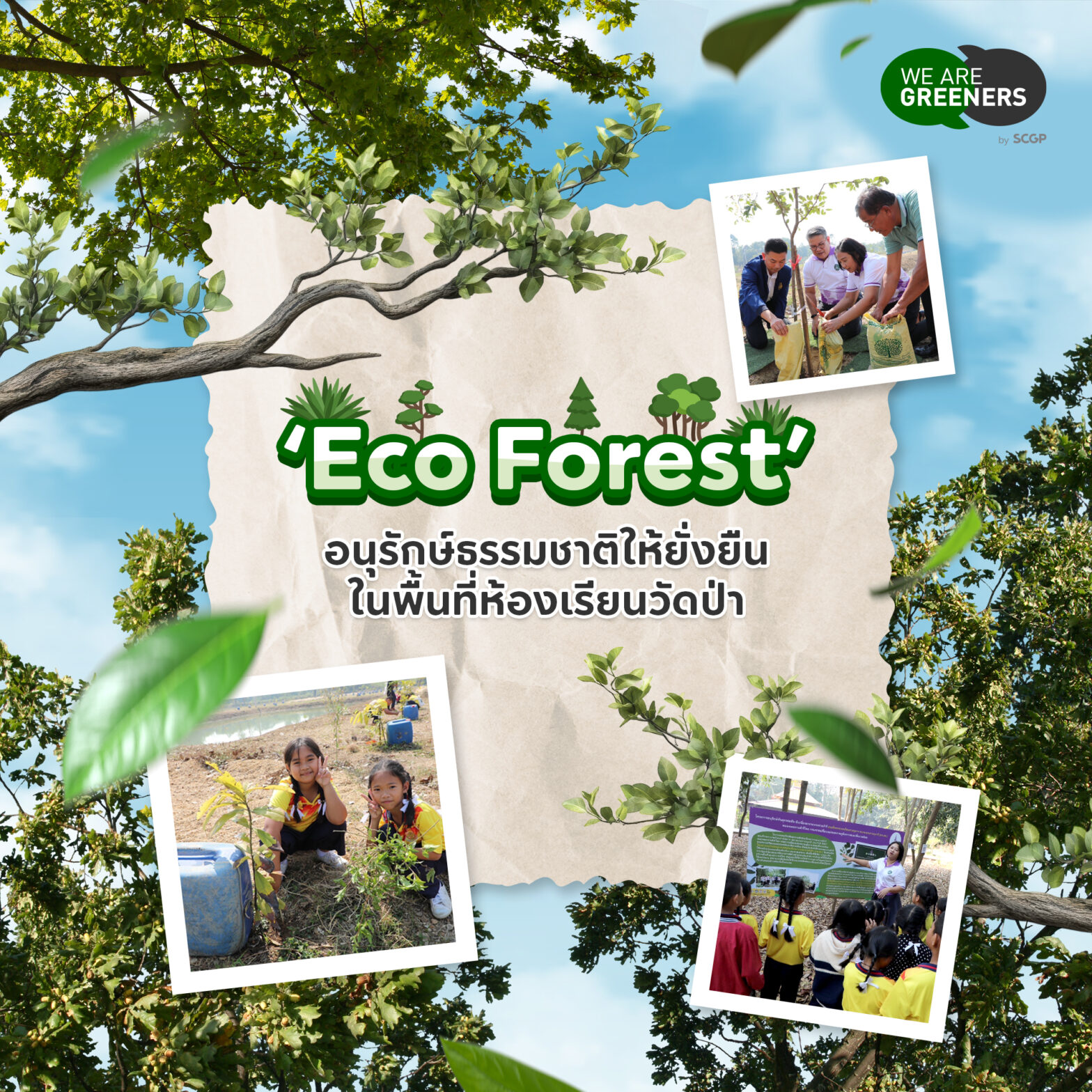 eco forest