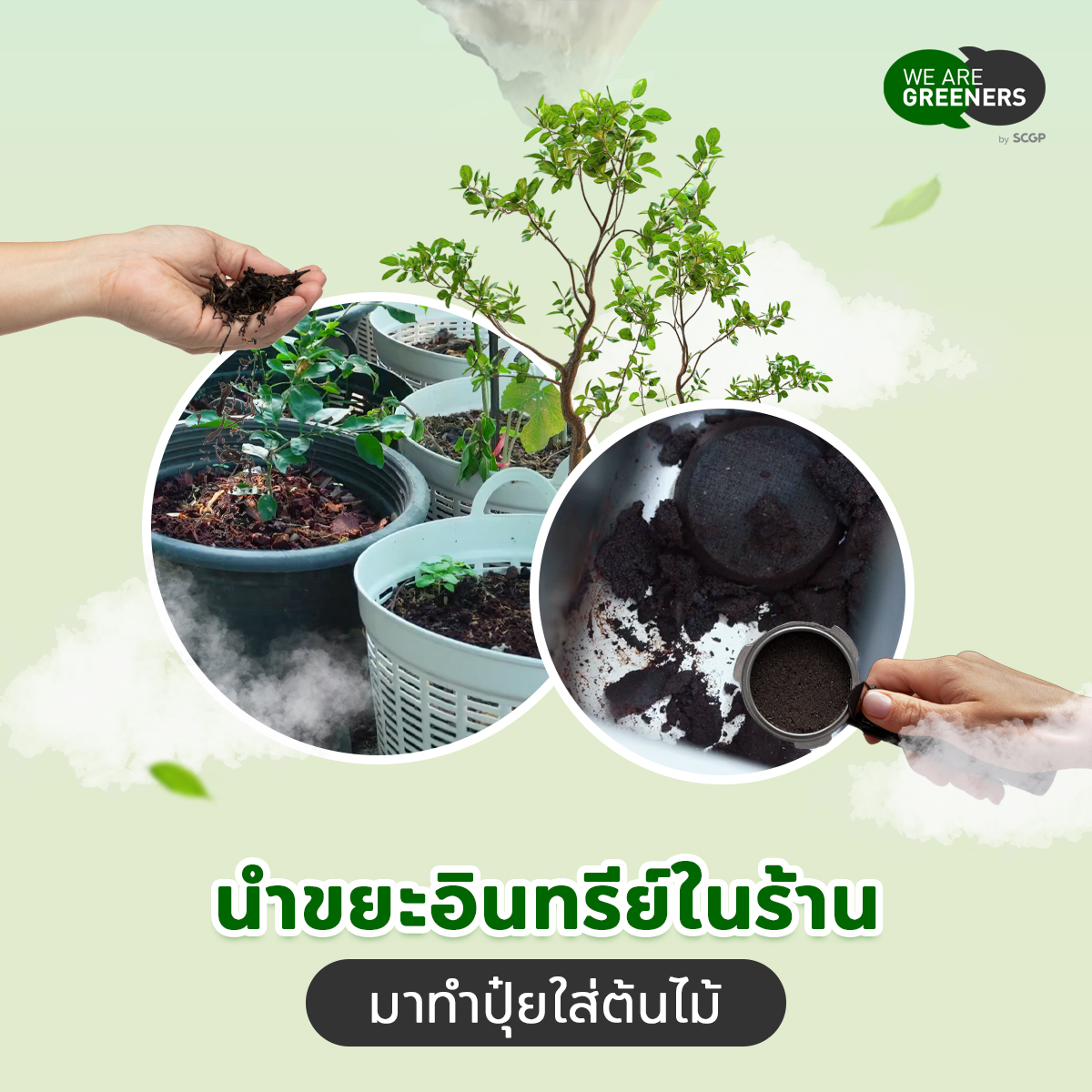 Green Cafe1