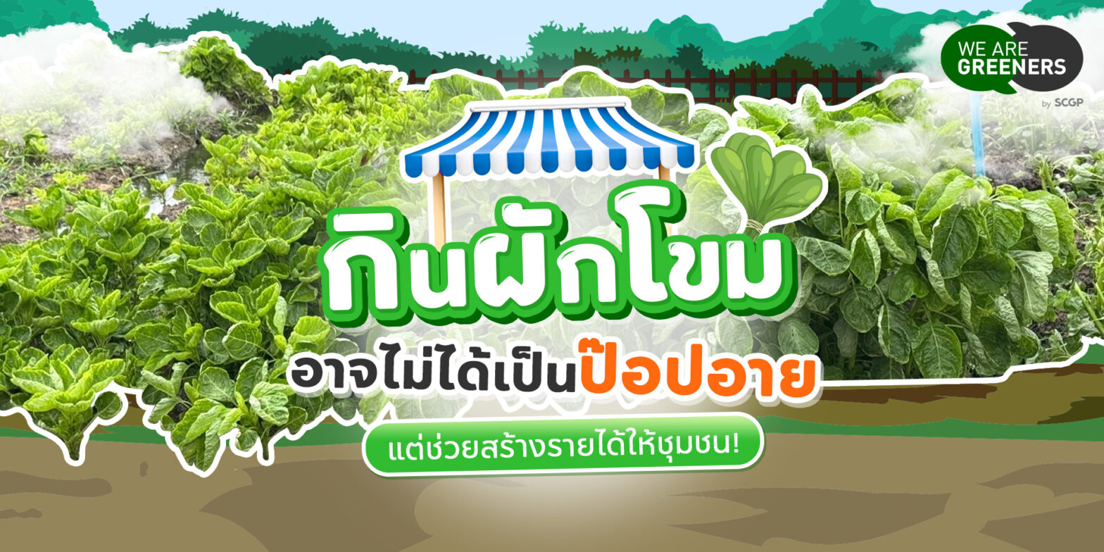 ผักโขม