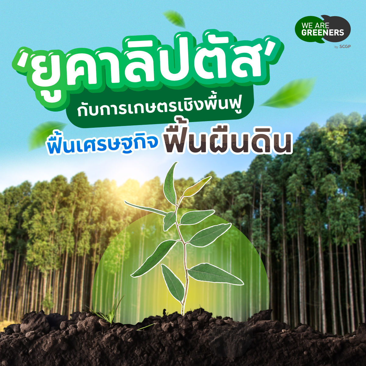 ยูคา ฟื้นฟูดิน
