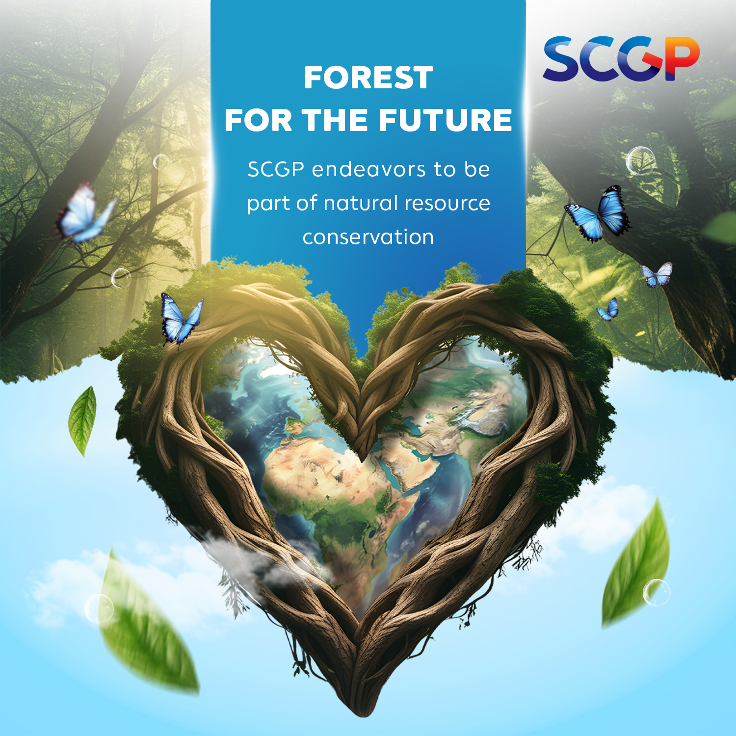 forest EN