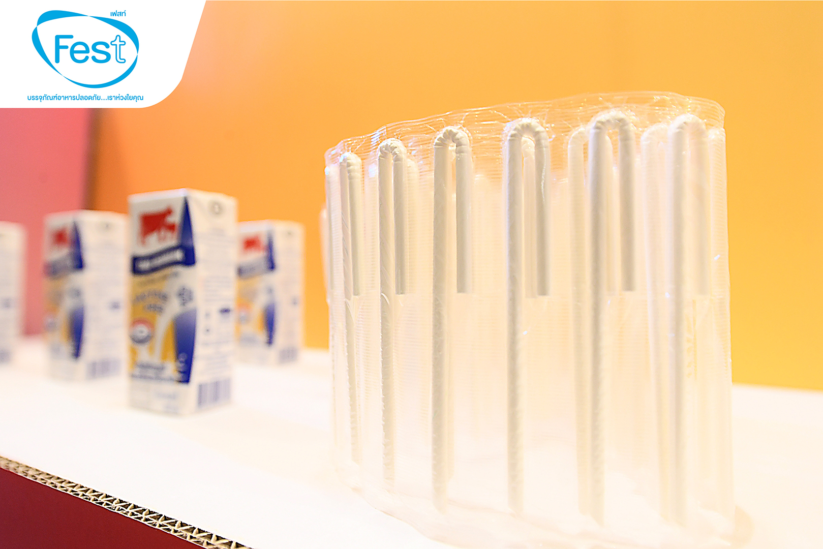 Fest paper straws from SCGP are selected by Thai-Denmark, the first UHT milk that uses Paper Straws from Thai manufacturer for better and more sustainable environment