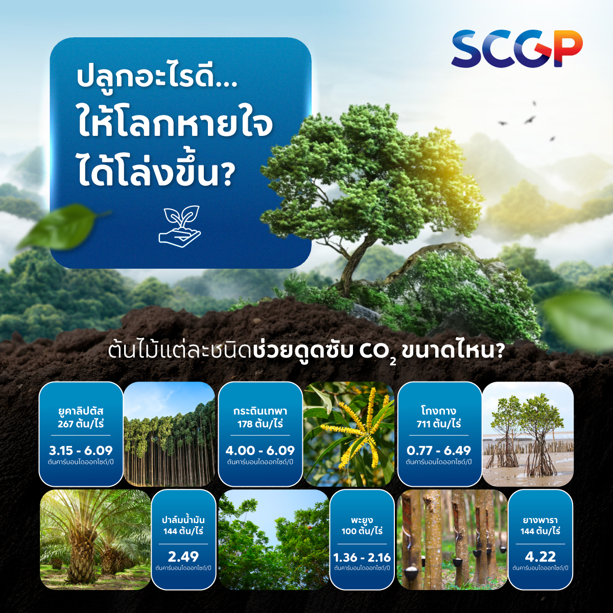 carbon capture by nature