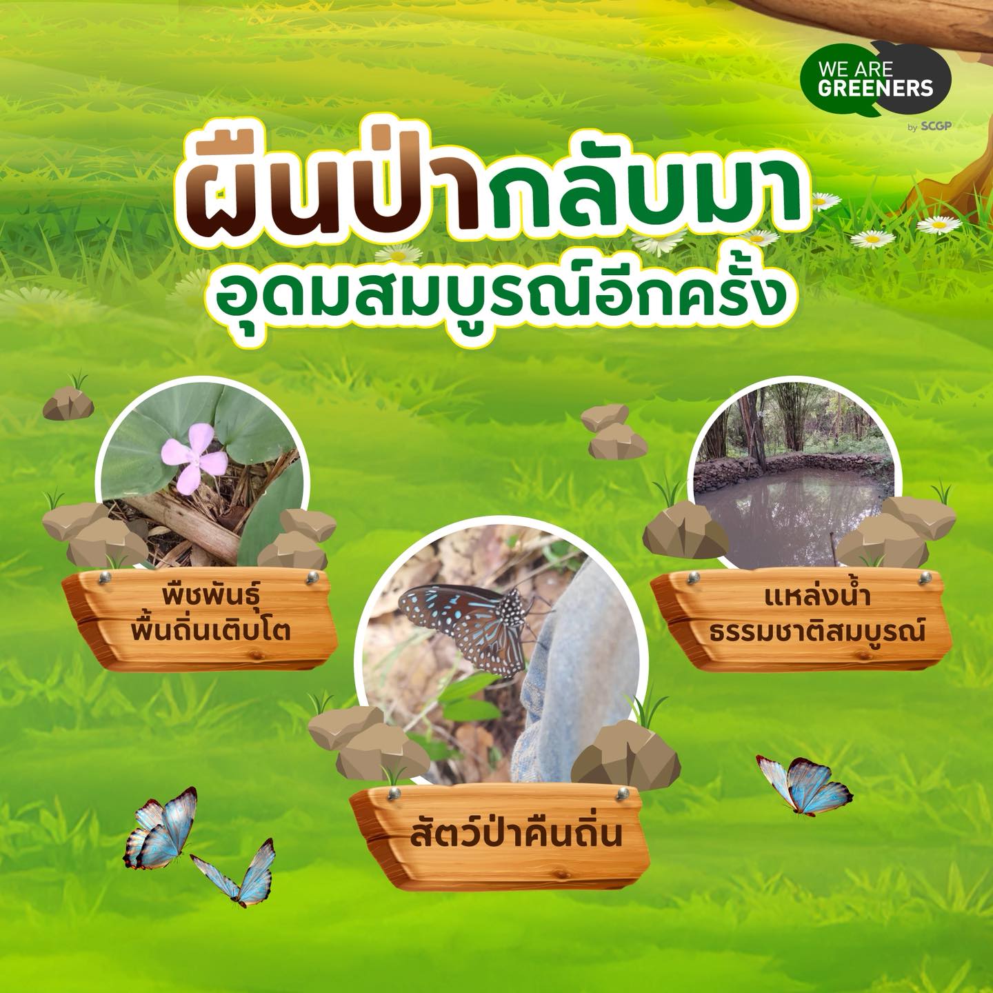 ป่าชุมชน หนองหินเขาสูง 3