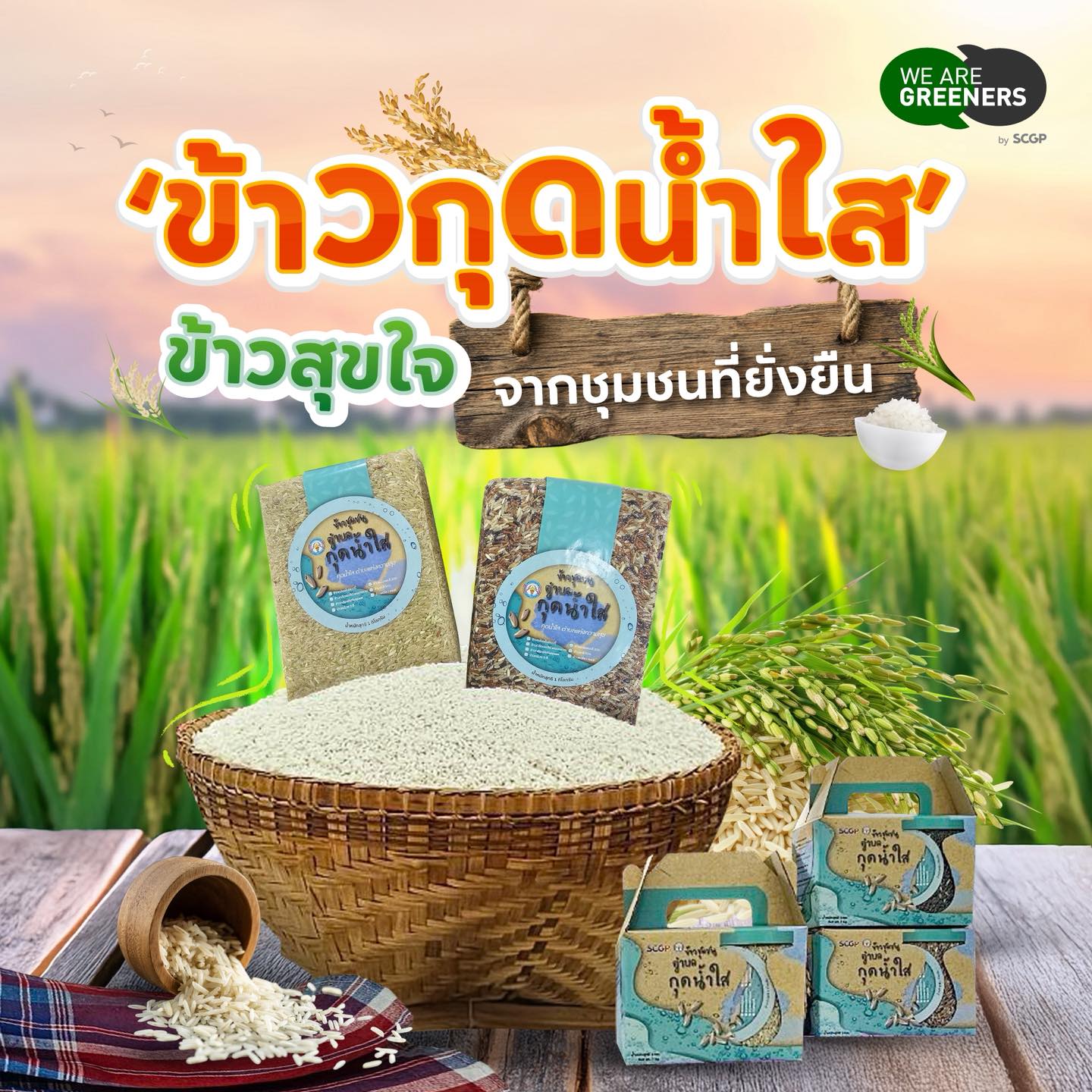 ข้าวกุดน้ำใส