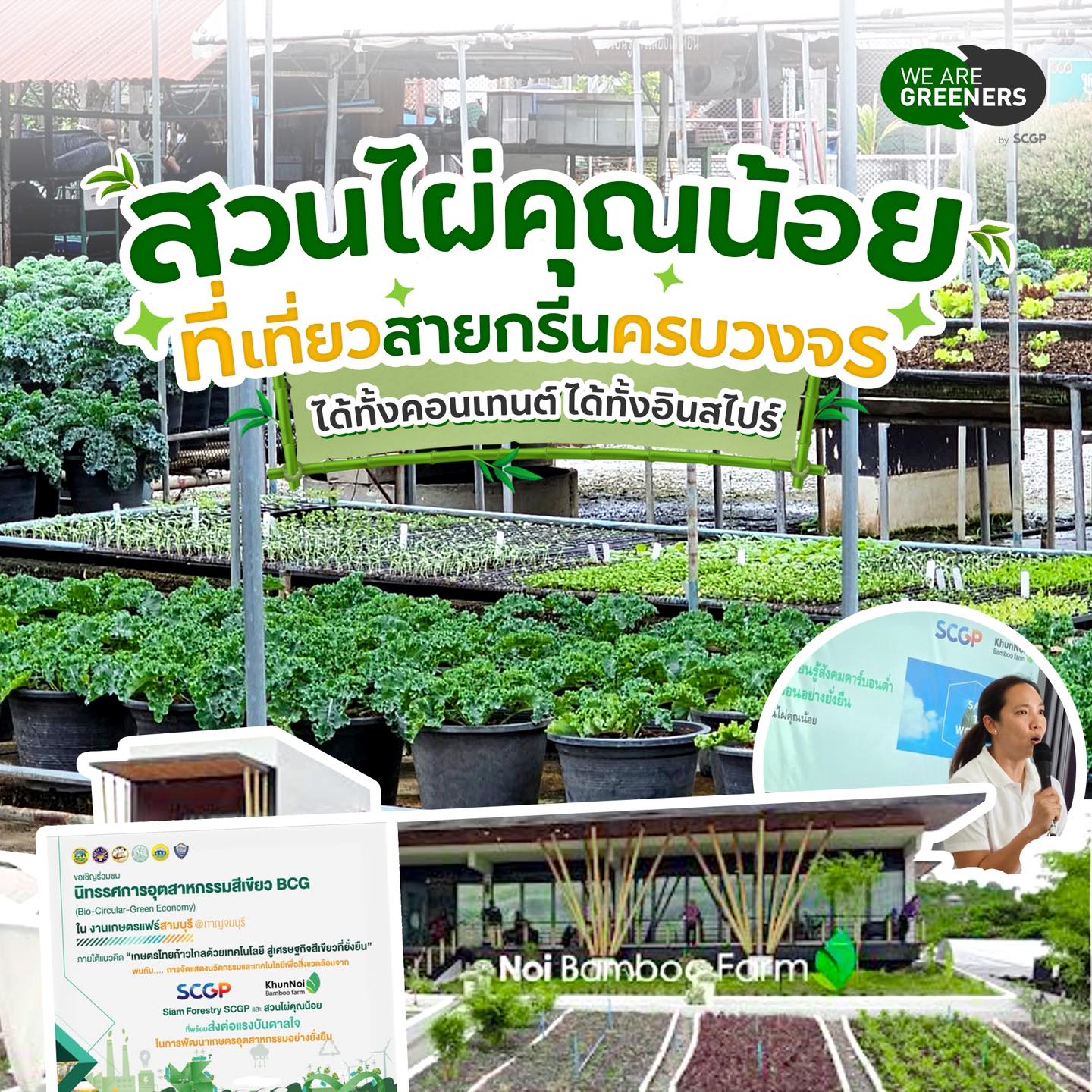 สวนไผ่คุณน้อย