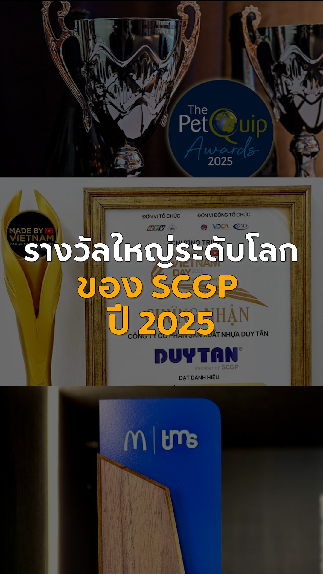 International Awards SCGP