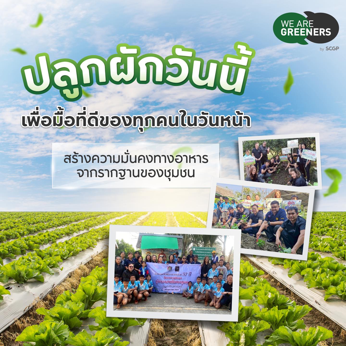 ปลูกผักสวนครัวเพื่อสร้างความมั่นคงทางอาหาร