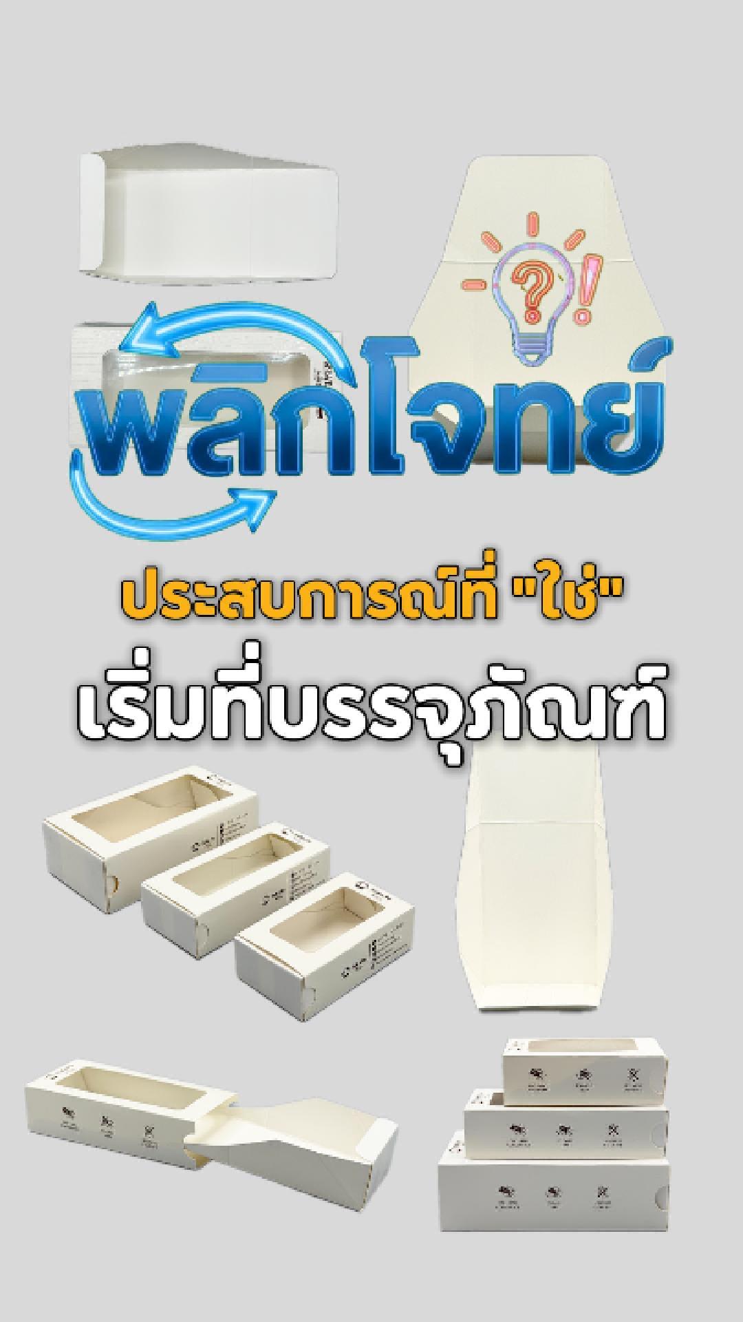 Fest Pie Packaging