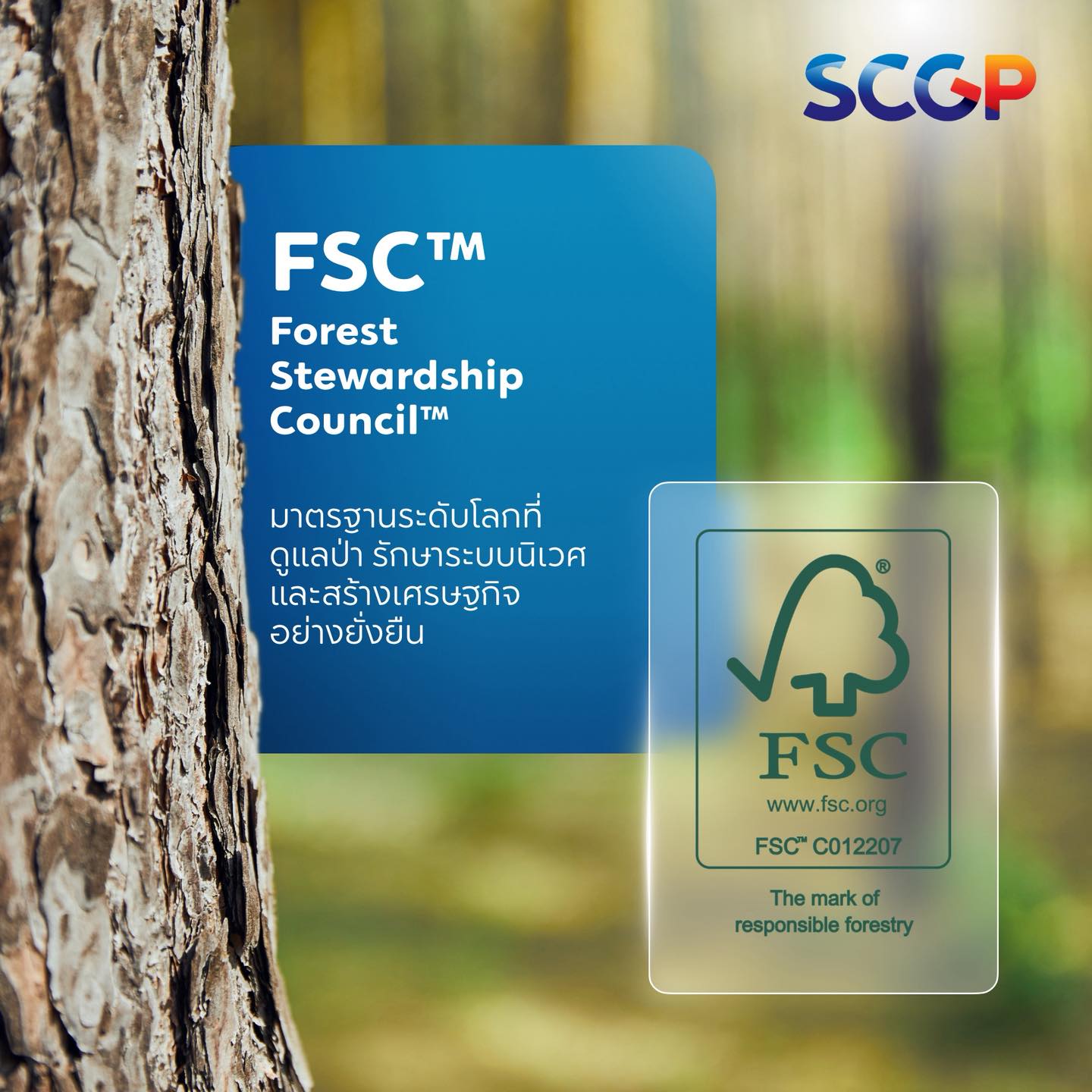 FSC SCGP