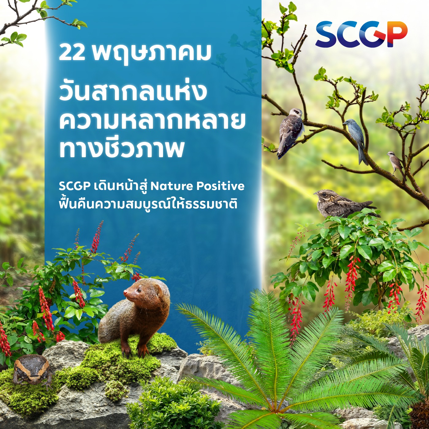 International Day for Biological Diversity