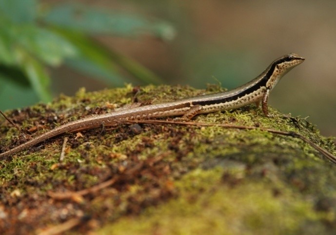 International Day for Biological Diversity EN 3