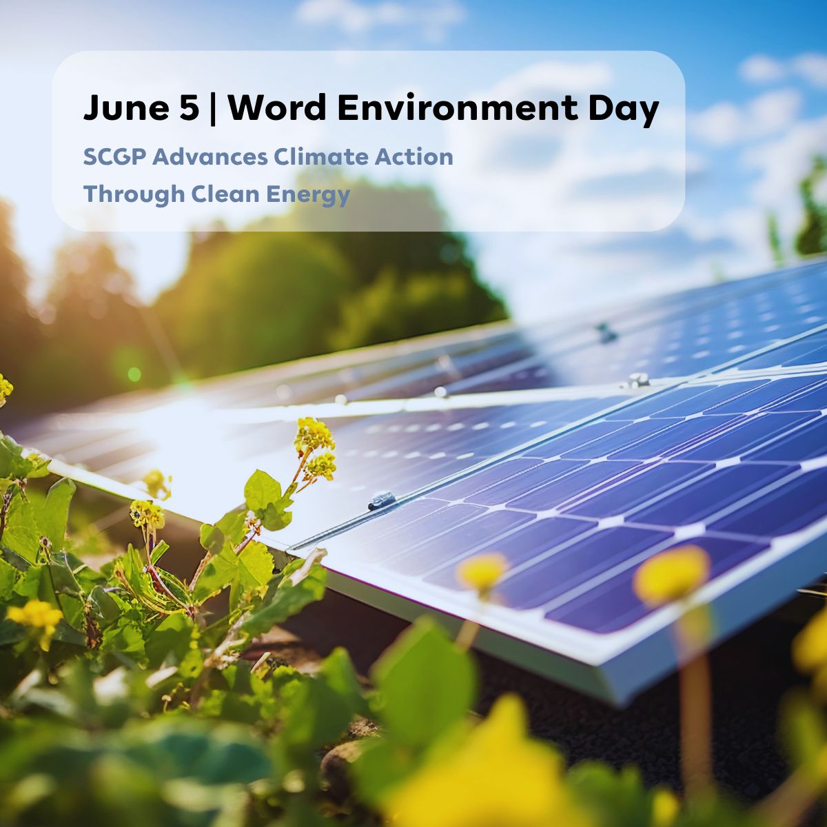 world environment day 2026 EN